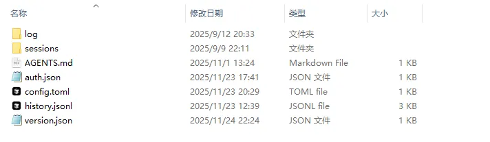Codex 配置目录中的认证与配置文件
